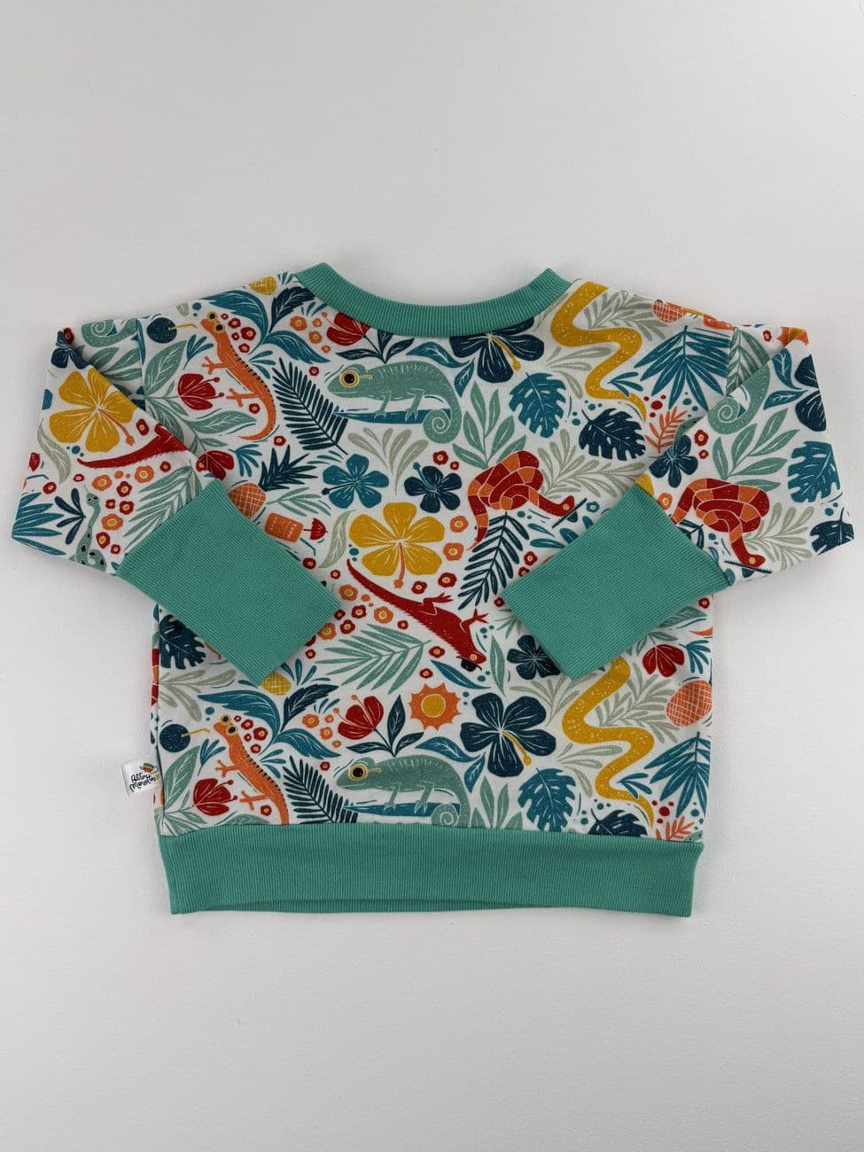 Evolutionärer Pullover – Petites Menottes – 3 bis 6 Jahre