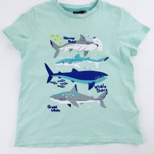 Tee-shirt manches courtes motif requins – Sergent Major – 6 ans (116 cm)